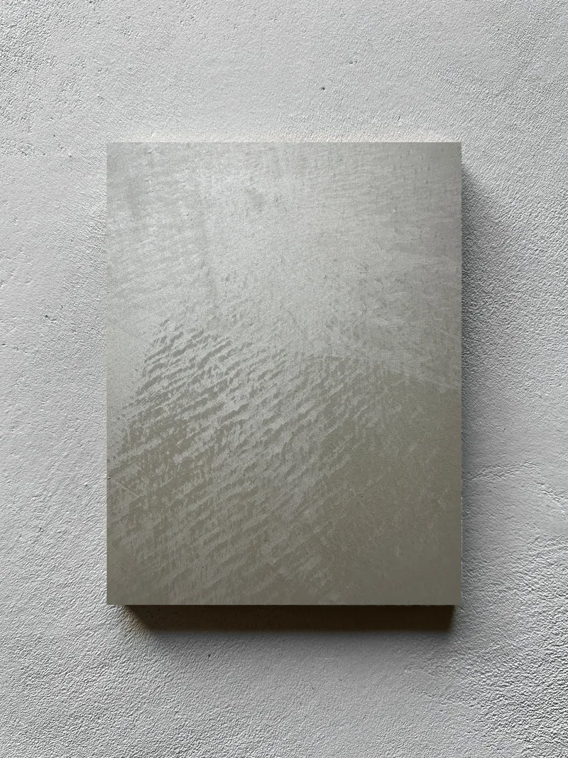 Pearlescent metallic plaster finish specimen