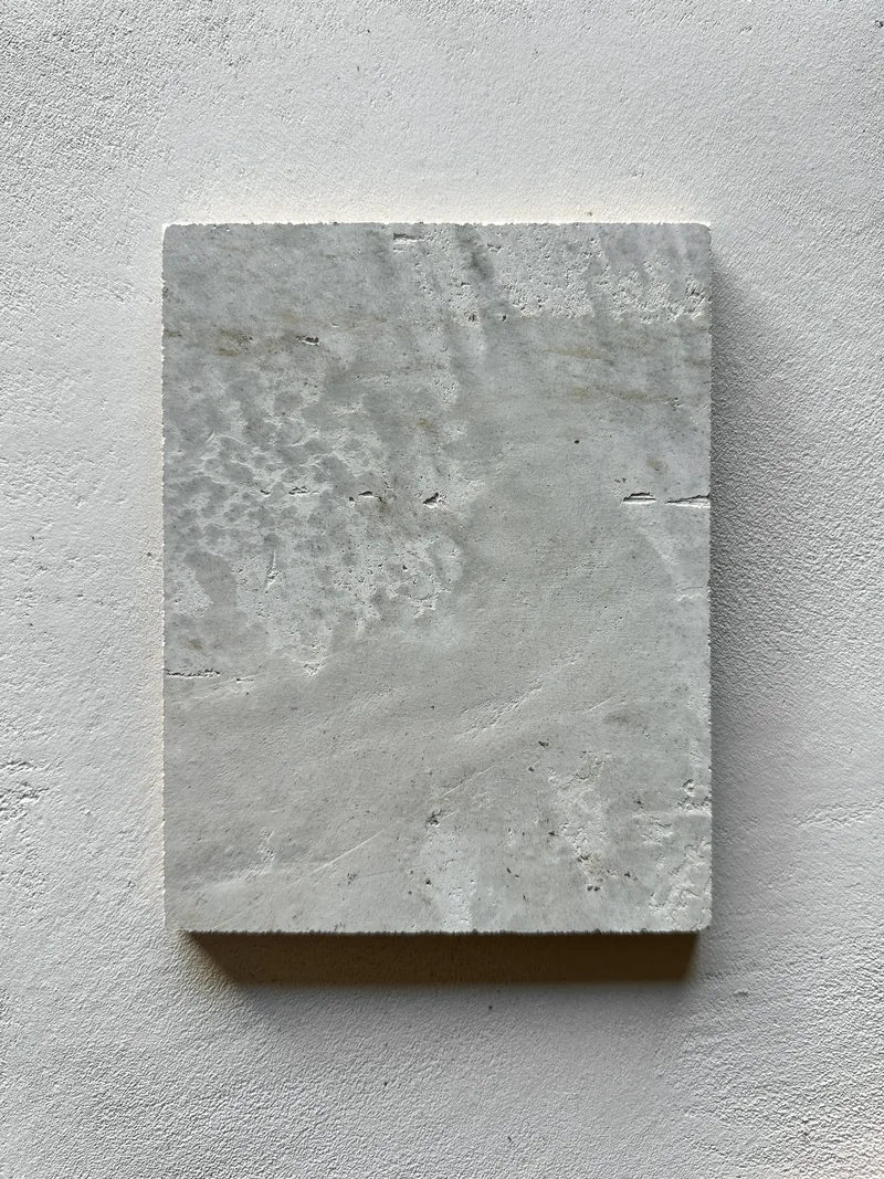 Stone plaster finish specimen